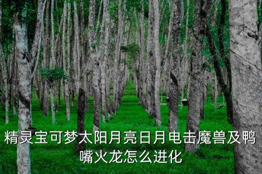精灵宝可梦太阳月亮日月电击魔兽及鸭嘴火龙怎么进化