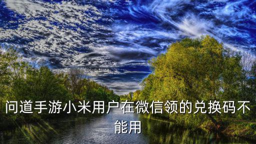 问道手游小米用户在微信领的兑换码不能用