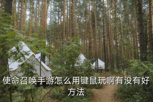 使命召唤手游怎么用键鼠玩啊有没有好方法
