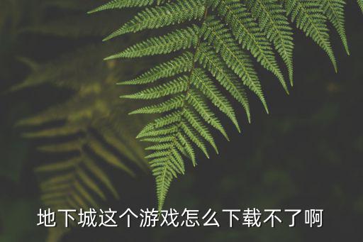 uu怎么下载不了dnf手游，为什么现在地下城游戏下载不了