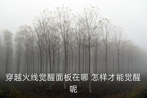 穿越火线觉醒面板在哪 怎样才能觉醒呢