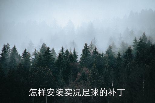 怎样安装实况足球的补丁