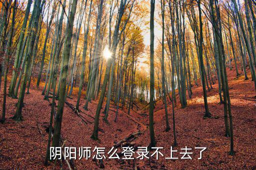 阴阳师怎么登录不上去了