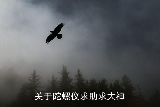 关于陀螺仪求助求大神
