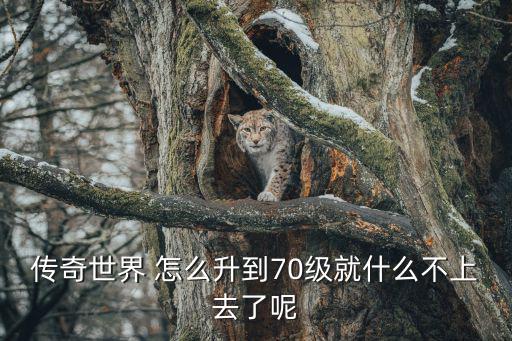 传奇世界手游怎么升不到70级，传世私服70之后为什么不能升级了