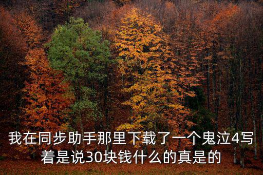 我在同步助手那里下载了一个鬼泣4写着是说30块钱什么的真是的