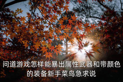 问道游戏怎样能暴出属性武器和带颜色的装备新手菜鸟急求说