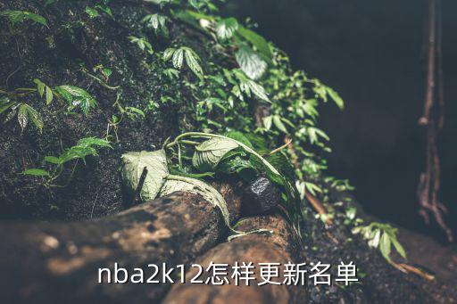 nba2k22手游怎么调整阵容名单，腾讯游戏 nba2k online 首发阵容能调一下吗