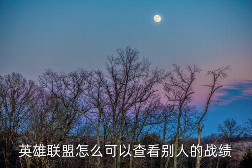 lol手游队友战绩怎么查，谁来告诉我 现在的掌上英雄联盟 怎么搜索别人的战绩