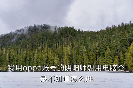 我用oppo账号的阴阳师想用电脑登录不知道怎么进