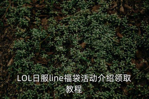 LOL日服line福袋活动介绍领取教程