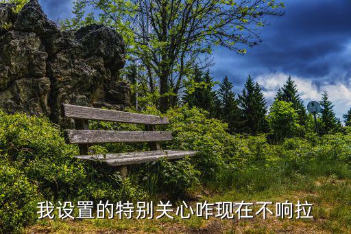 我设置的特别关心咋现在不响拉