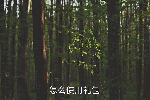 庆余年手游怎么用礼包，怎么使用礼包