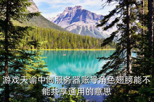 天谕手游共战资格怎么看，天谕怎么在游戏里看见自己的名字
