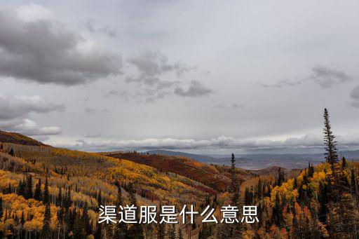 渠道服是什么意思