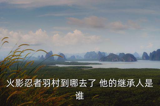 火影忍者羽村到哪去了 他的继承人是谁