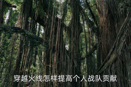 穿越手游战队战力贡献怎么提升，穿越火线怎样提高个人战队贡献