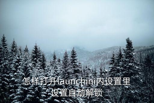 怎样打开launchini内设置里设置自动解锁
