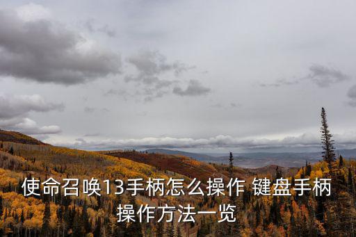 手柄按键使命召唤手游怎么设置，使命召唤9手柄怎么设置我用的不是360手柄是普通的