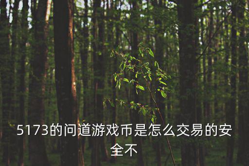 5173的问道游戏币是怎么交易的安全不