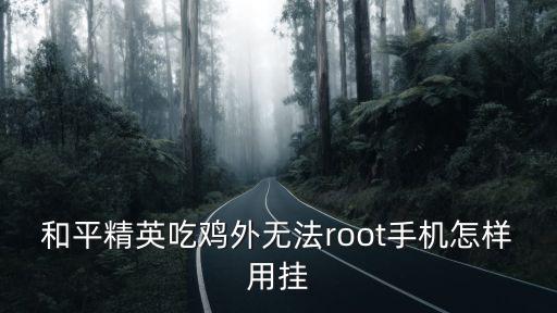 和平精英吃鸡外无法root手机怎样用挂