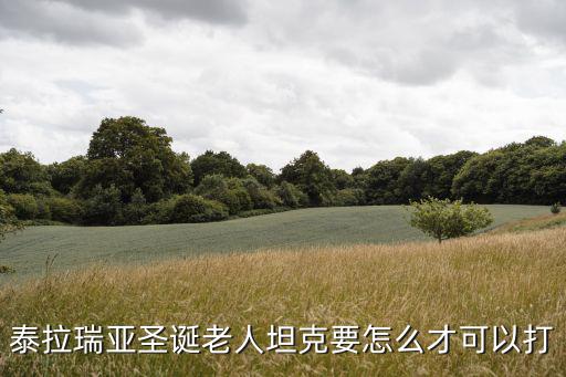 泰拉瑞亚圣诞老人坦克要怎么才可以打