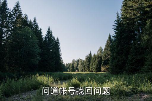 问道手游找不到号怎么办，找回问道号