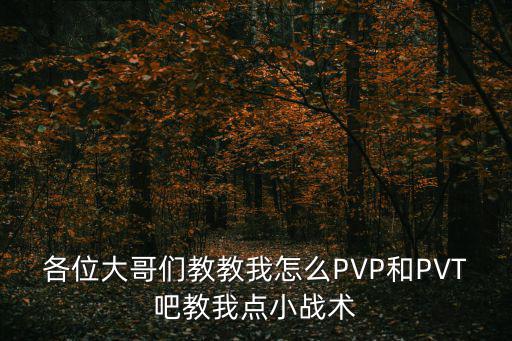 各位大哥们教教我怎么PVP和PVT吧教我点小战术
