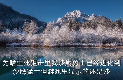 为啥生死狙击里我沙鹰勇士已经进化到沙鹰猛士但游戏里显示的还是沙