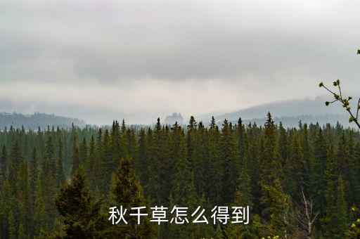 天刀手游家园秋千怎么得，剑网3双人秋千如何获取 为什么两个人同坐却坐不上去