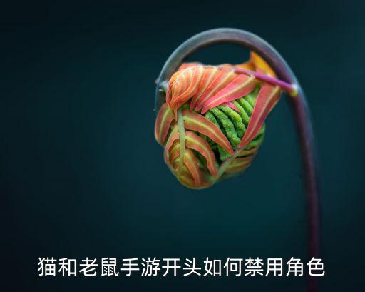 猫和老鼠手游开头如何禁用角色