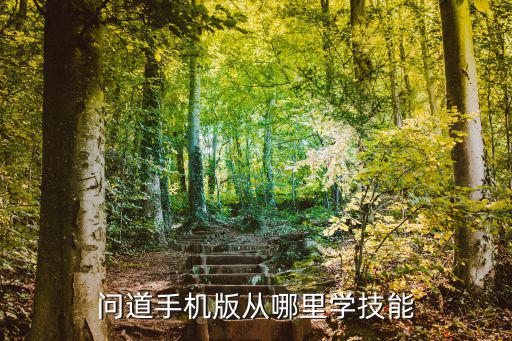 问道手机版从哪里学技能