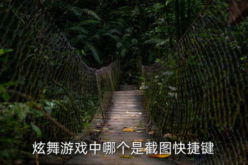 qq炫舞手游听歌怎么截图，炫舞游戏中哪个是截图快捷键