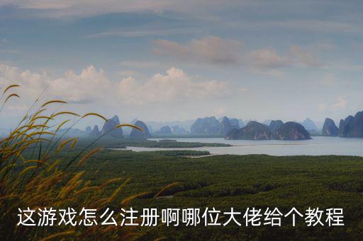 艾伊莎手游怎么注册，这游戏怎么注册啊哪位大佬给个教程