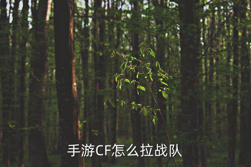 手游CF怎么拉战队