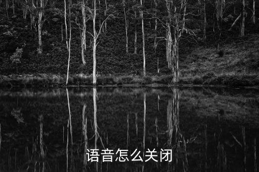 天刀手游怎么关闭语音翻译，语音怎么关闭