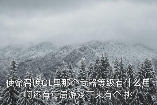 使命召唤手游怎么观赏武器展示，使命召唤OL里那个武器等级有什么用啊还有每局游戏下来有个 挑