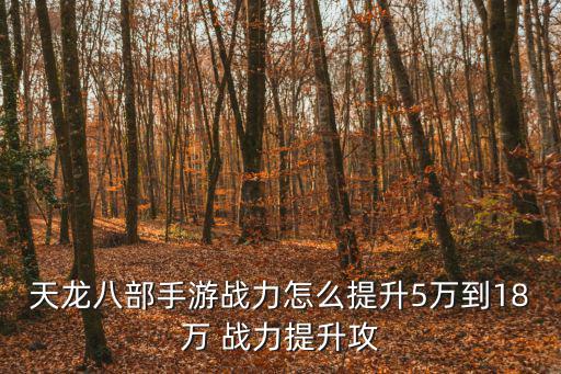 天龙八部手游战力怎么提升5万到18万 战力提升攻