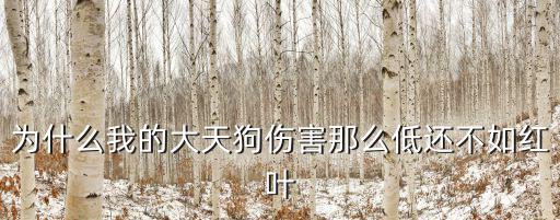 斗破苍穹手游大天狗怎么样，为什么我的大天狗伤害那么低还不如红叶