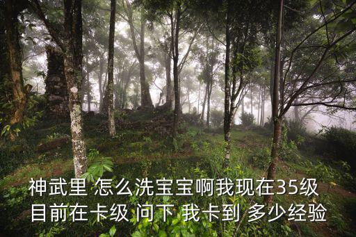 神武里 怎么洗宝宝啊我现在35级 目前在卡级 问下 我卡到 多少经验