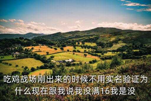 吃鸡战场刚出来的时候不用实名验证为什么现在跟我说我没满16我是没