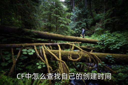 CF中怎么查找自己的创建时间