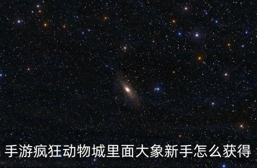 问道手游怎么找大象，问道手游蹲大象技巧