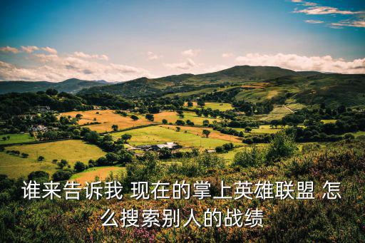 谁来告诉我 现在的掌上英雄联盟 怎么搜索别人的战绩