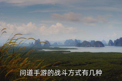 问道手游怎么开启阵营战，问道手游的战斗方式有几种