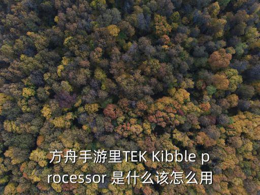 方舟手游里TEK Kibble processor 是什么该怎么用