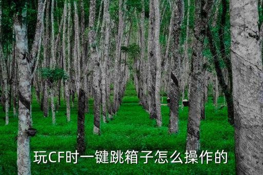 cf手游怎么一键跳箱子，穿越火线手游鬼跳箱子怎么跳