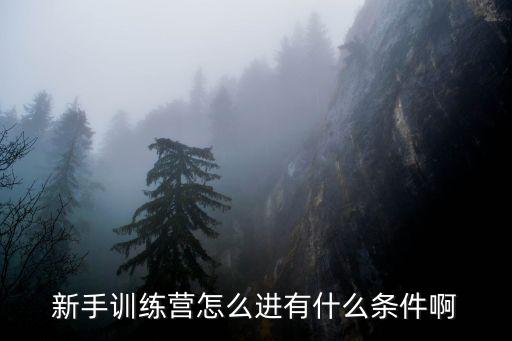 新手训练营怎么进有什么条件啊
