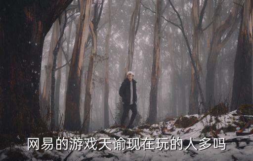天谕手游多出来的英灵怎么分解，作图软件是PS AI CDR 游戏类似剑灵 天谕 这种 色差不能太大 价格