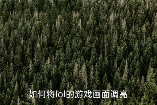 如何将lol的游戏画面调亮